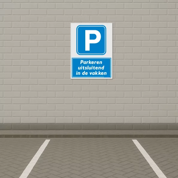 Parkeren in de parkeervakken