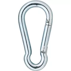 Karabijnhaak